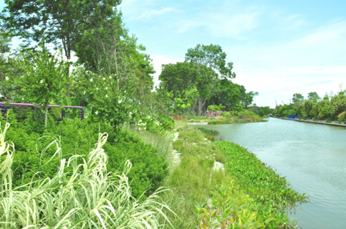 綠色城市與新型城鎮化國際論壇蔡福祥演講實錄