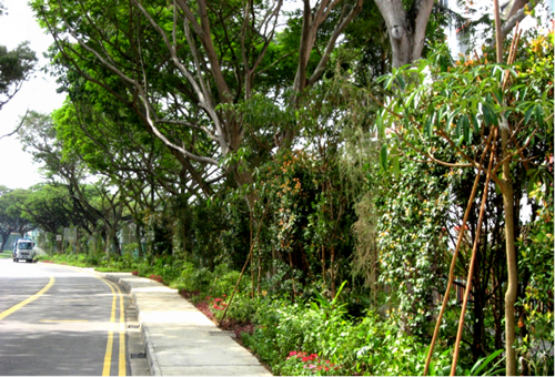 綠色城市與新型城鎮化國際論壇蔡福祥演講實錄