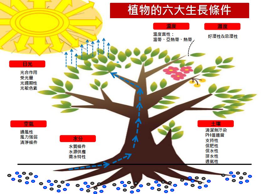 地產(chǎn)園林國(guó)際論壇李碧峰演講實(shí)錄