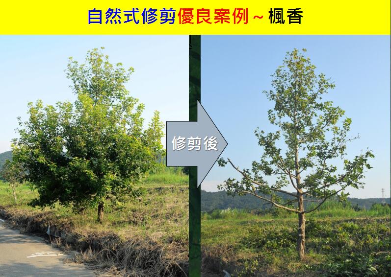 地產(chǎn)園林國(guó)際論壇李碧峰演講實(shí)錄