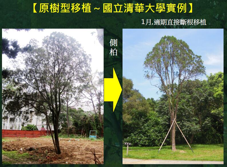 地產(chǎn)園林國(guó)際論壇李碧峰演講實(shí)錄