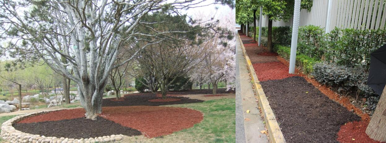 風景園林創新發展論壇史軍鵬先生演講實錄