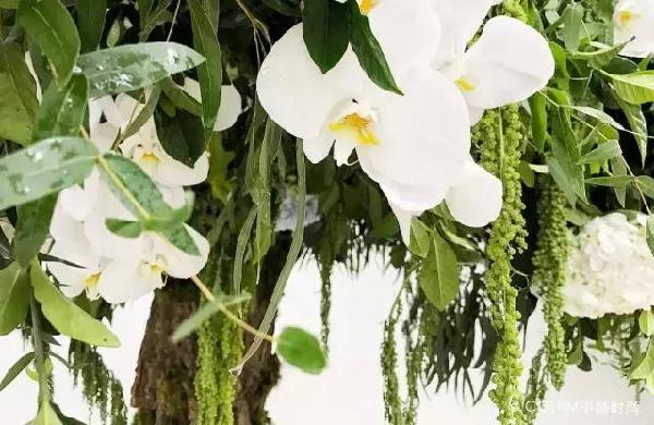 當時尚開始偏愛花藝……