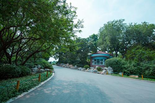 案例：濟(jì)南泉城公園防災(zāi)避險(xiǎn)規(guī)劃設(shè)計(jì)