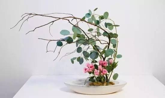 東方插花三大原則,構(gòu)圖表現(xiàn)形式和十三要訣