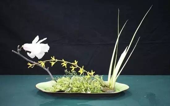 東方插花三大原則,構(gòu)圖表現(xiàn)形式和十三要訣