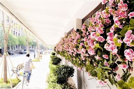 天津玩“花樣” 立體綠化美死你