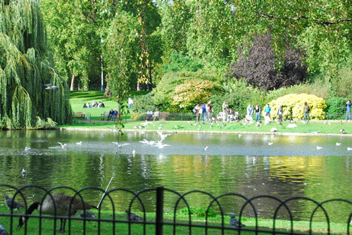 2017英國景觀專業考察交流Day1：倫敦皇家園林