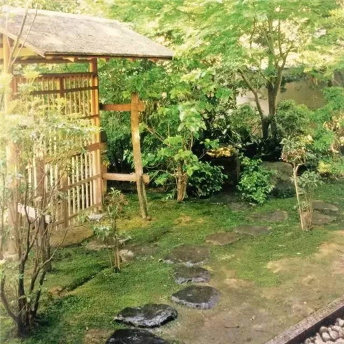 日本園林大師枡野俊明談造園和賞園