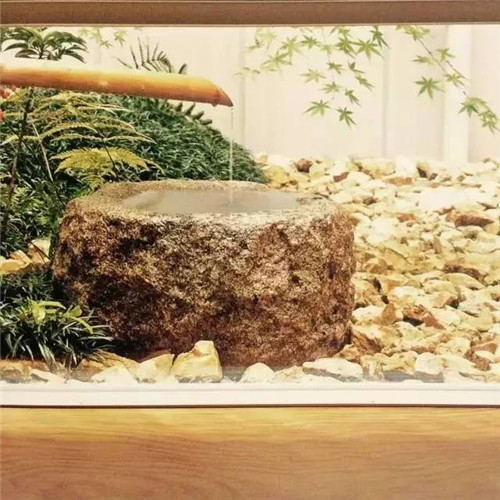 日本園林大師枡野俊明談造園和賞園