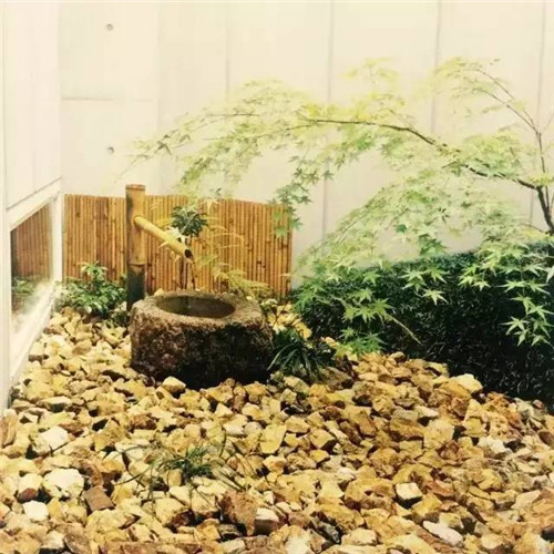 日本園林大師枡野俊明談造園和賞園