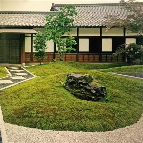 日本園林大師枡野俊明談造園和賞園