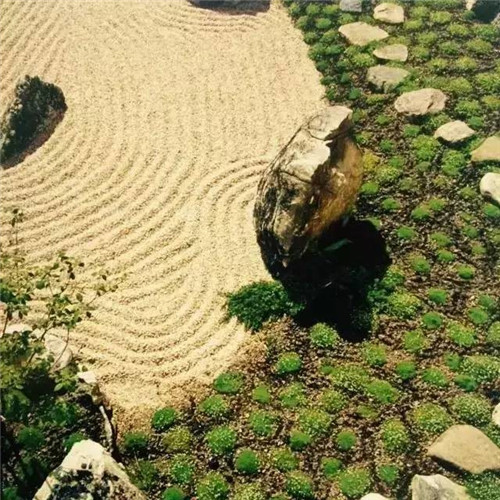 日本園林大師枡野俊明談造園和賞園