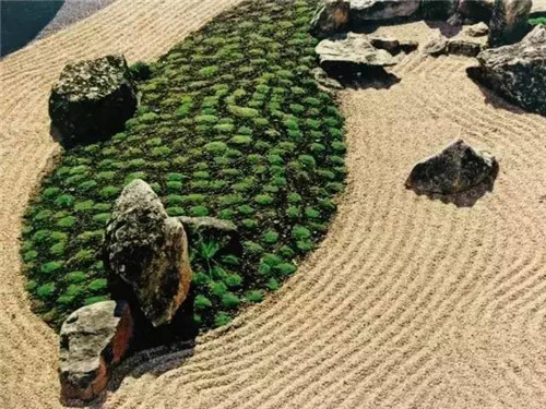 日本園林大師枡野俊明談造園和賞園