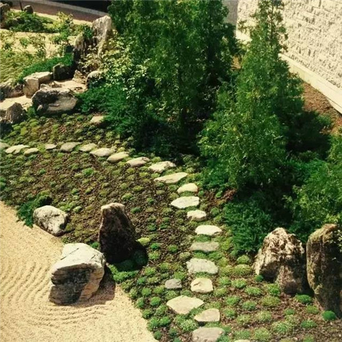 日本園林大師枡野俊明談造園和賞園