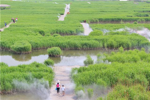 鳥類天堂——河北唐山曹妃甸濕地