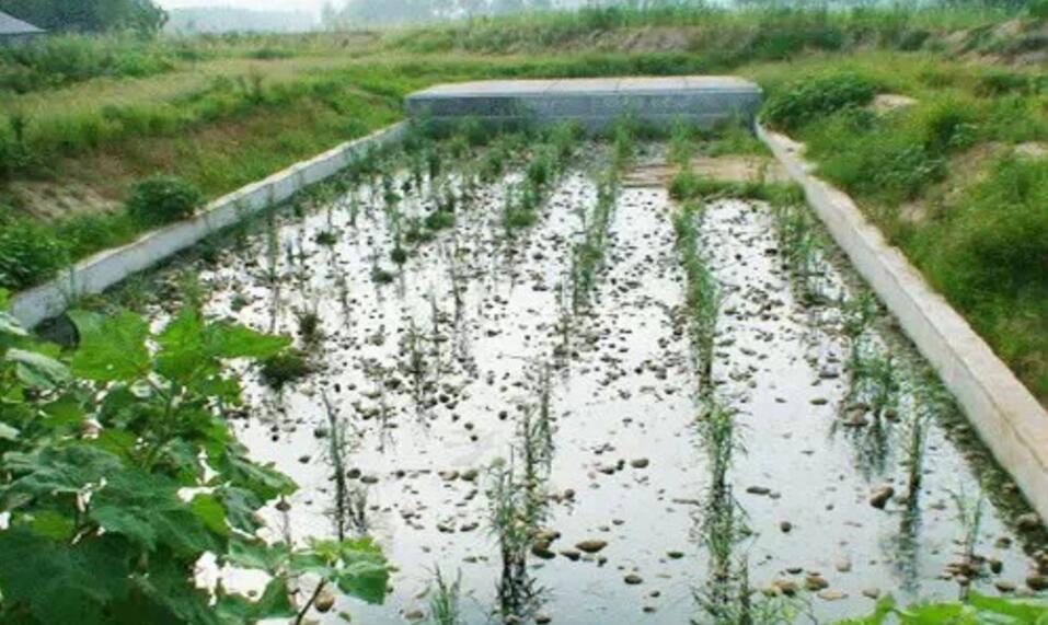 雨水花園在海綿城市建設(shè)中的意義