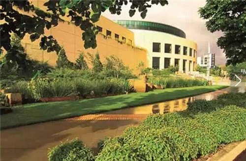 雨水花園在海綿城市建設中的意義