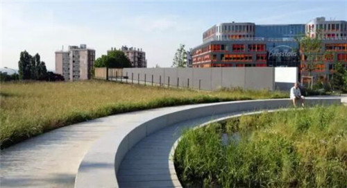 雨水花園在海綿城市建設中的意義