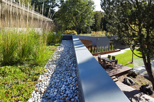 雨水花園在海綿城市建設中的意義