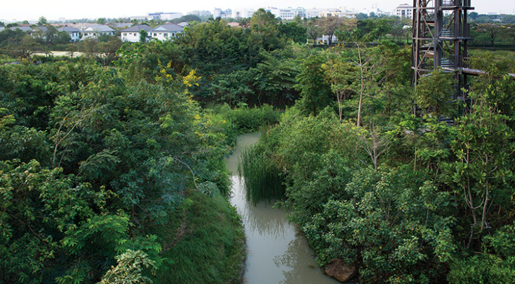 ASLA景觀設(shè)計榮譽(yù)獎項目——“城市森林”