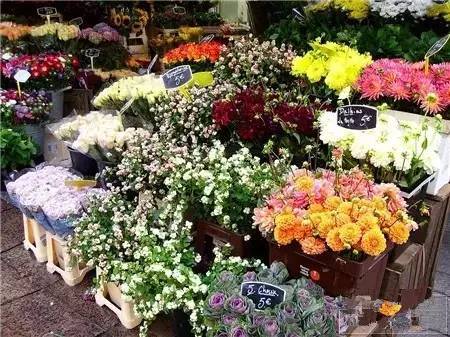 DIY插花把生活點綴得那么美