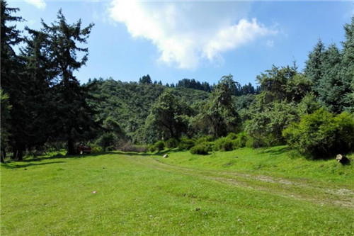 青海最美森林公園