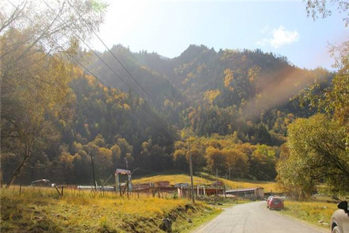 青海最美森林公園