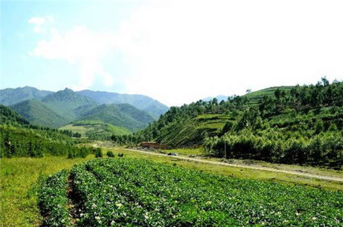 青海最美森林公園