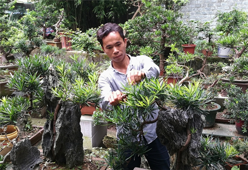 梅南珍：酷愛(ài)盆景藝術(shù)的城市邊沿人