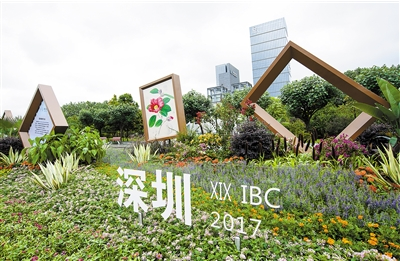 “最干凈”深圳迎接國際植物學大會