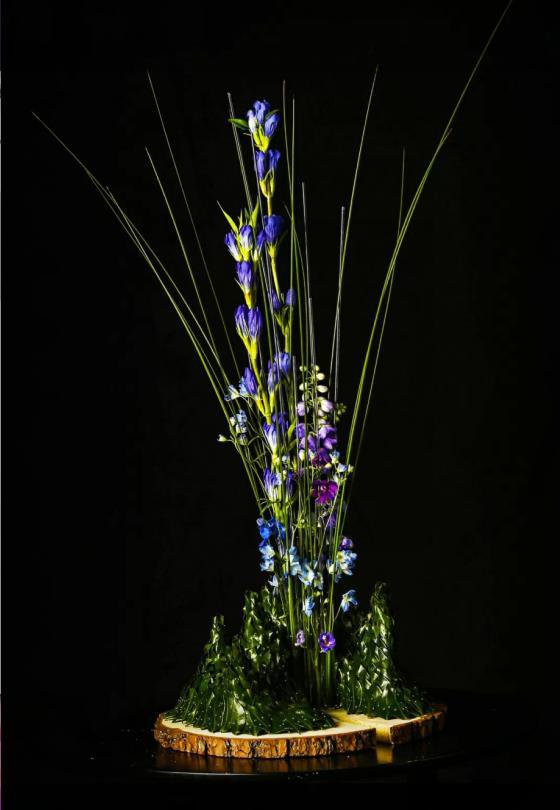 唯美的插花藝術(shù) 沉迷花色無法自拔