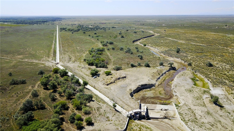 新疆塔城加快修復(fù)庫魯斯臺草原生態(tài)