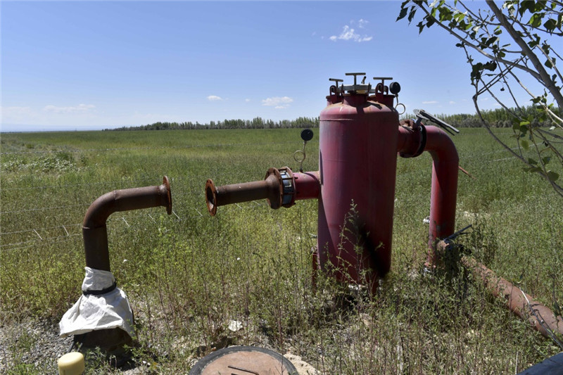 新疆塔城加快修復(fù)庫魯斯臺草原生態(tài)