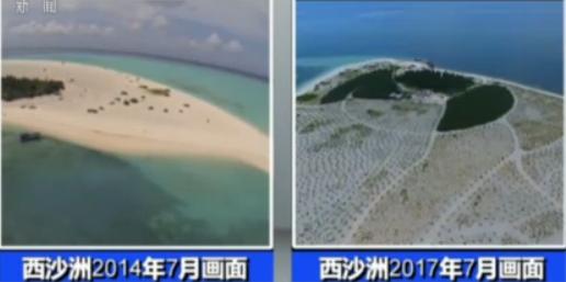 250多萬株苗木扎根 三沙島礁綠意盎然