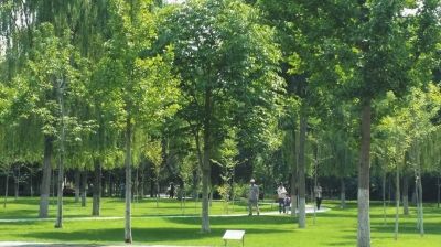 植物園 科普休閑兩相宜