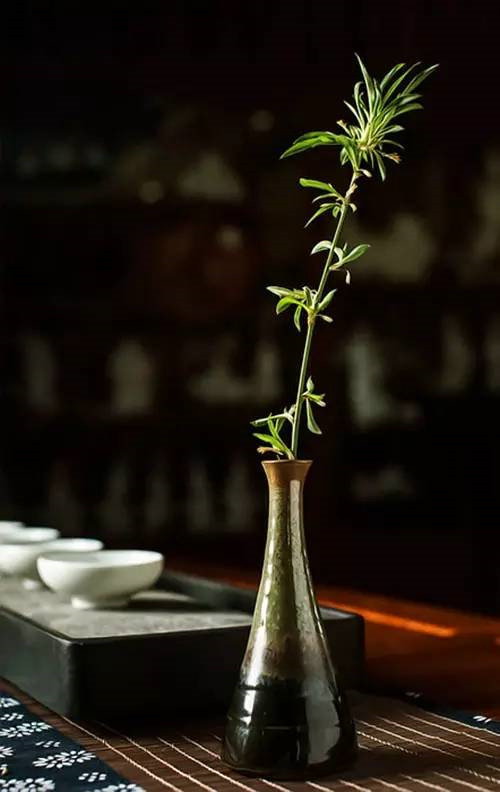 花藝、插花和花道之間的區別