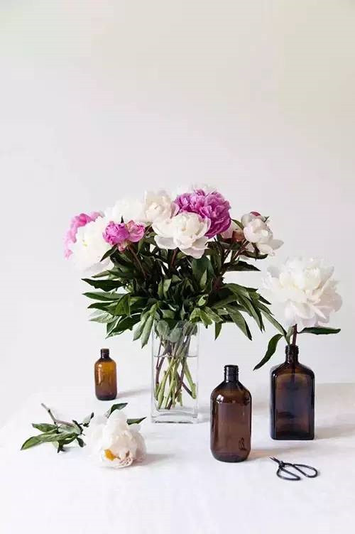 花藝、插花和花道之間的區別