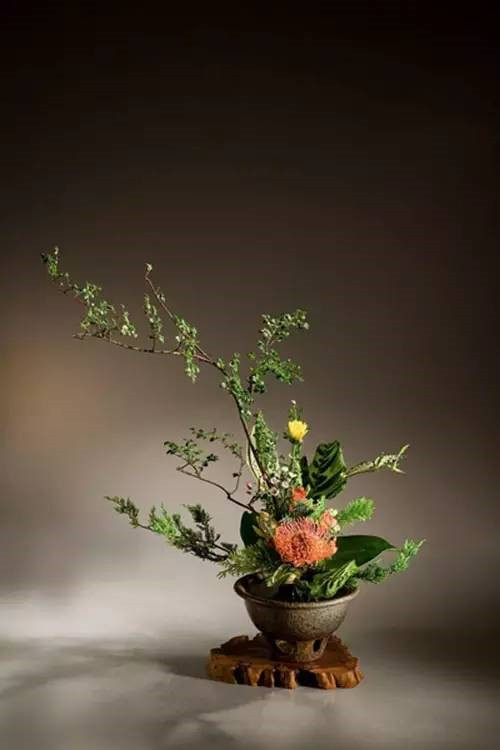 花藝、插花和花道之間的區別