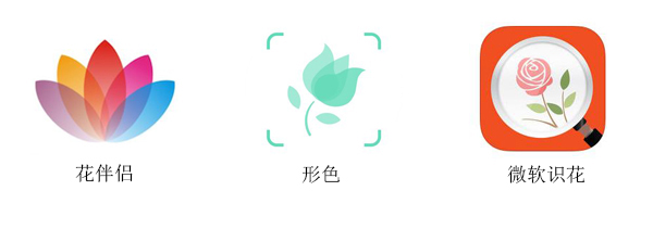 以app為切入口 人工智能正悄悄浸入花木行業