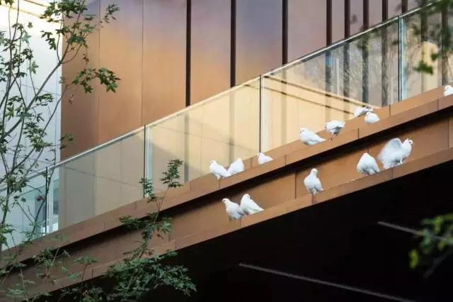 【賽肯思·作品】重慶·鉑悅瀾庭