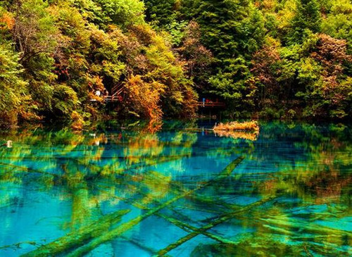 四川九寨溝發生大地震 停止接待游客