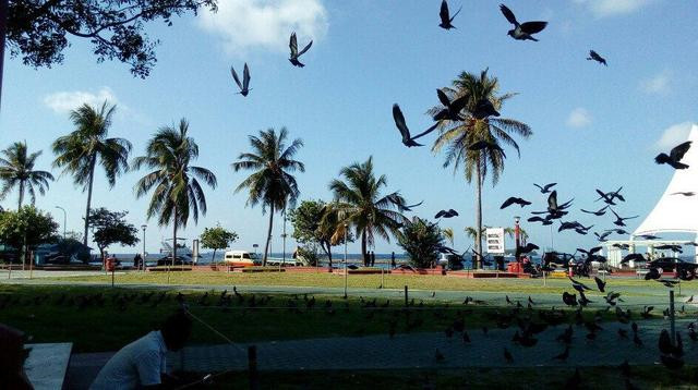 世界人口最擁擠的城市馬累是什么樣子的？