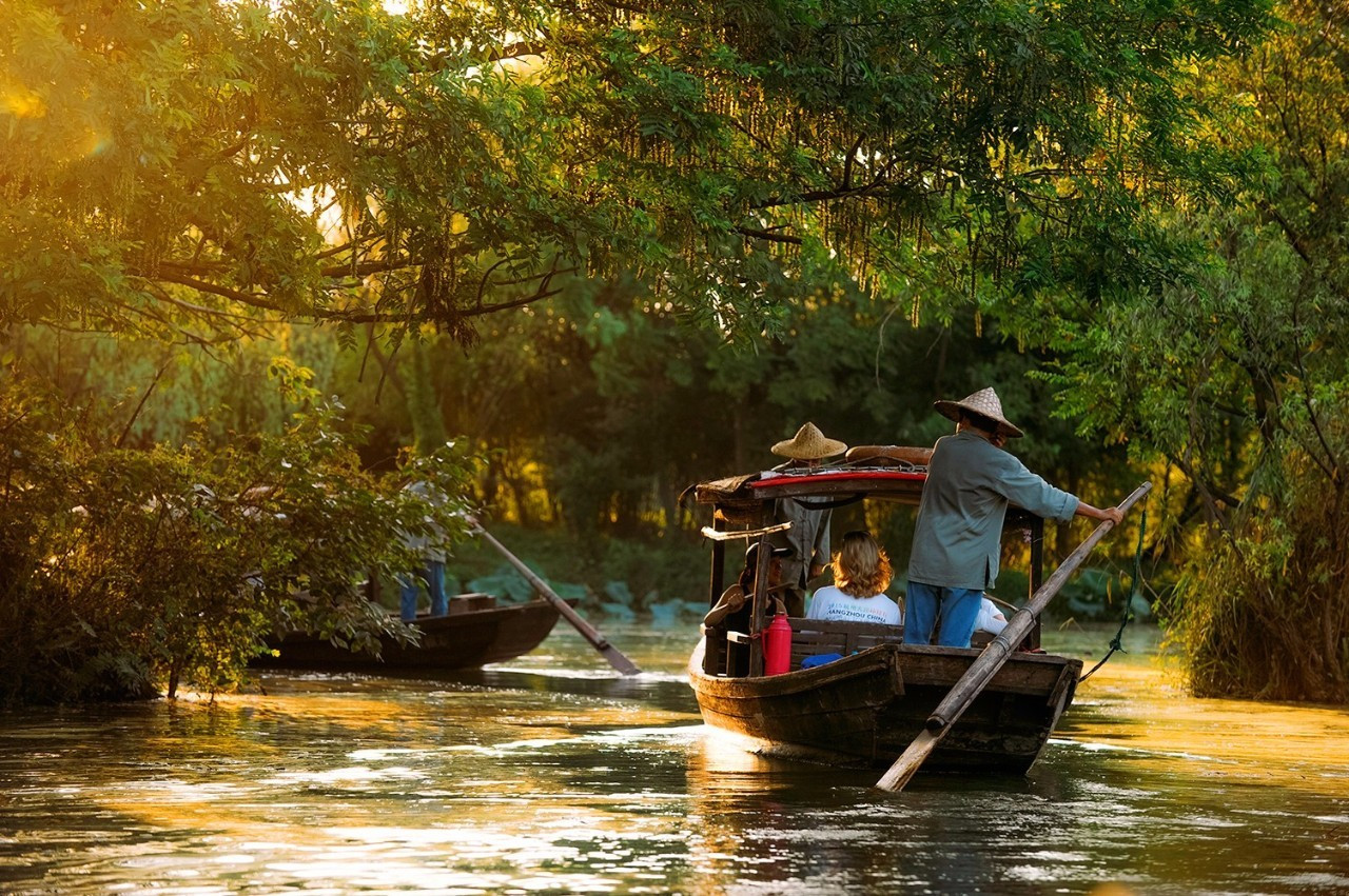 浙江美麗的濕地公園
