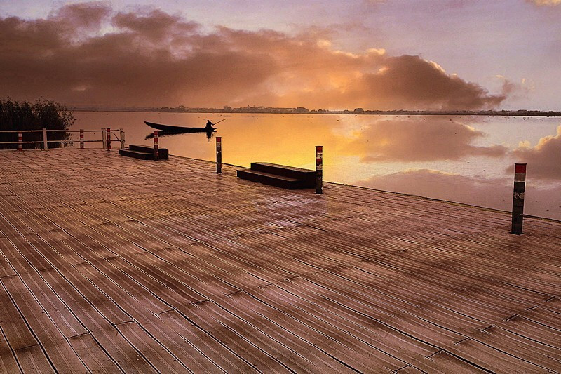 浙江美麗的濕地公園