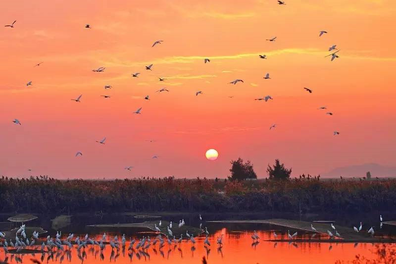浙江美麗的濕地公園