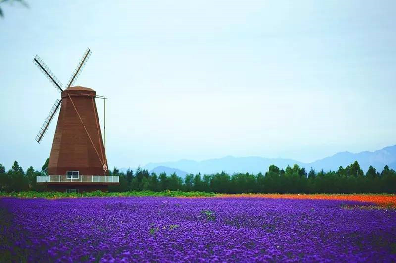 浙江美麗的濕地公園