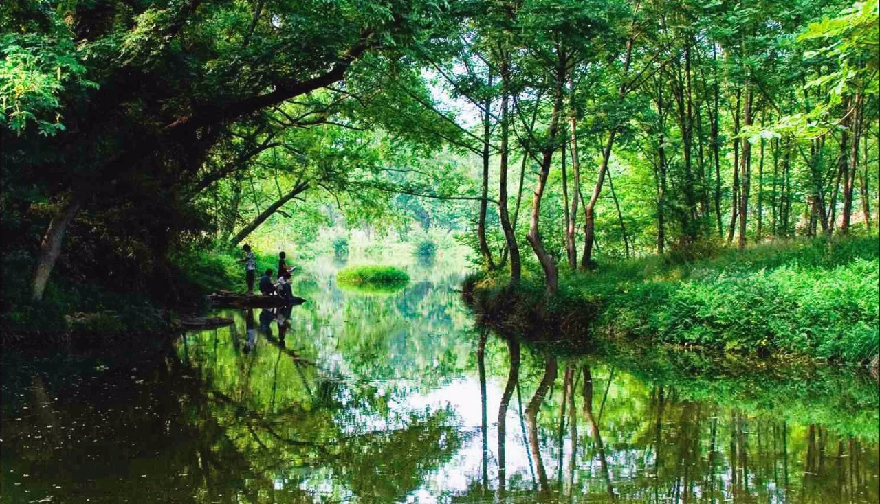 浙江美麗的濕地公園