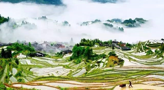 浙江美麗的濕地公園