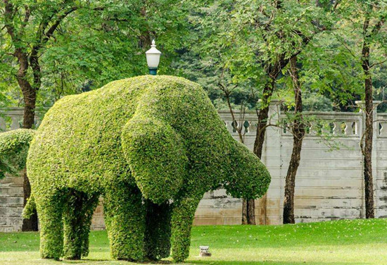 園林景觀功能栽植的4種方式